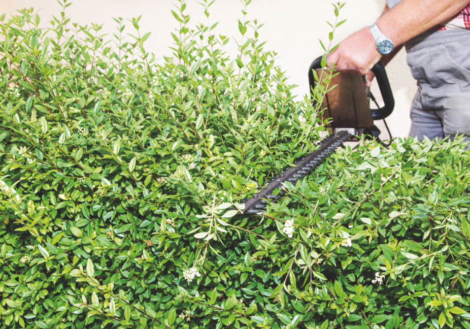 Leistungen - Löffler